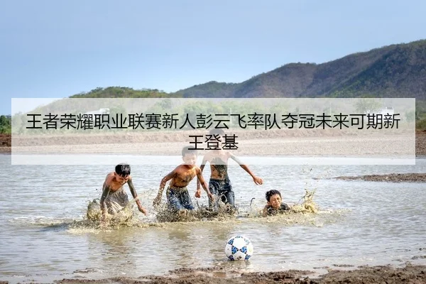 wang-zhe-rong-yao-zhi-ye-lian-sai-xin-ren-peng-yun-fei-shuai-dui-duo-guan-wei-lai-ke-qi-xin-wang-deng-ji-2-922.jpg